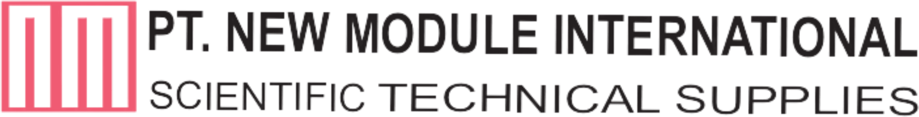 New Module International Logo